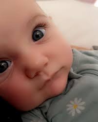 Kelli Anne Willingham