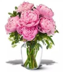 We are open for in store shopping, pickup, and deliveries! Pink Peony Charleston Sc Florist