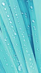Blue Gotas Fondos De Pantalla De Color Azul Fondos De Pantalla Verde Mejores Fondos De Pantalla Para Iphone