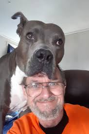 Hi everyone. Meet my 2 luvs, Lucy(black and white) and Gemma(mostly black). 