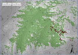 Image result for Justicia asystasioides