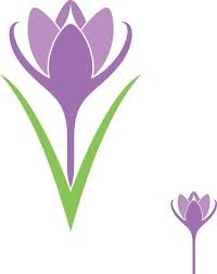 Crocus Flower Basic Saffron Flower Crocus Flower Saffron Flower Logo