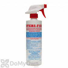 People often focus on killing mildew by spraying it with bleach or similar products. Mold Control Kill Mold Mold Removal Remove Mold