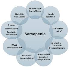Image result for Dysequilibrium