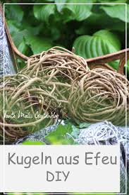 Efeukugeln Selber Machen In 2020 Hortensien Pflege Efeu Pflanzen