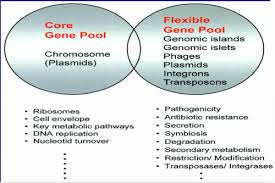 Our pool games give you additional control and advantages over playing billiards in real life. Mim 3 Microbial Genetics Flashcards Quizlet