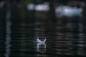 You miss them dreaming of dead loved ones is a natural part of the grieving process. How To Tell When Passed Loved Ones Are Around You The Wayward Lifestyle Wellness Astrology