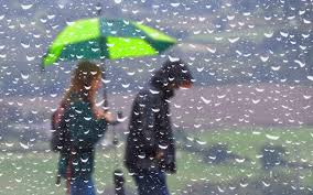 Trend Google: neve
