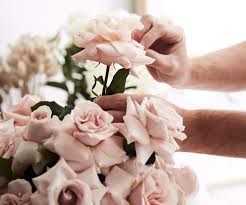 How to preserve roses is an important question, because roses are often connected to moments in life you don't want to forget. How To Press A Rose With A Book Or Flower Press Homes To Love