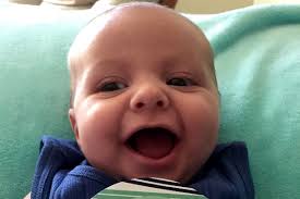 Fundraiser by Sharryjim Blaszczyk : Help for Lil Bens final expenses