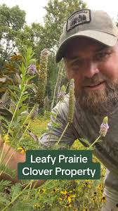 Explore the Leafy Prairie Clover Property Conservation
