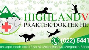Lagi cari pet friendly hotel di bandung? Highland Vet Praktek Dokter Hewan Veterinarian