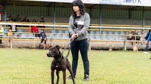 2:14 rmc 36 134 просмотра. Femme Enceinte Tuee Par Des Chiens Dans L Aisne Son Compagnon Lance Un Appel A Temoin