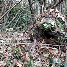 Someone New Cardarellidaniele Interesting Leafsuit Loving The Forest Floor Here Though Bet That Site Is Awesome In 2020 Ghillie Suit Forest Floor Sniper Camouflage