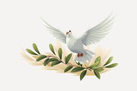 Dove Olive Branch Images – Browse 27 ...