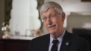 The Patriotic Sons of William Stafford and Freelove Westcott