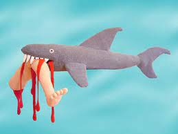 Pin On For My Love Of The Ocean