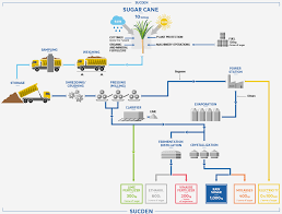 Process Flowcharts Sugar Products Services Sucden