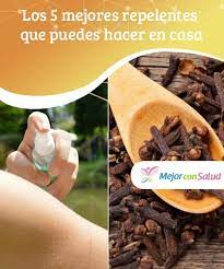 Los 5 Mejores Repelentes Que Puedes Hacer En Casa Mejor Con Salud Picaduras De Insectos Repelente Salud