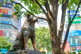 Тацуя накадаи, каору ятигуса, мако ишино и др. Die Geschichte Der Hachiko Statue Von Shibuya Asienspiegel