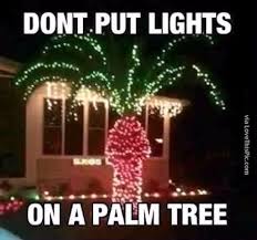 Why You Should Not Put Christmas Lights On A Palm Tree Christmas Memes Funny Christmas Memes Funny Christmas Pictures