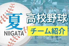 新潟日報デジタルプラス - News update
