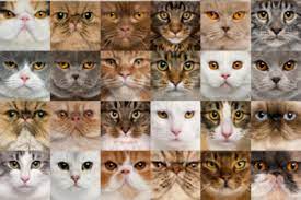 It is very easy to remodel your residence and you can call any kind of home designer for fotocollage auf leinwand selber basteln if you have no issue of loan yet if you do not have. Fotocollage Auf Einer Leinwand Prasentieren Das Sollten Sie Beachten