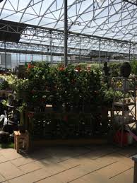 Maybe you would like to learn more about one of these? Centres Du Jardin In Saint Hubert Qc Yellowpages Ca