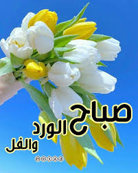pin by sanaa on صباحيات good morning good morning gif morning gif good morning