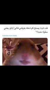 الله لا يحطني مكانها ههههههههههههههههههههههههههههههههههههههههههههههههههههههههههههههههههههههههههههههه Funny Baby Quotes Weird Words Arabic Funny
