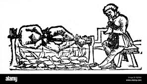 A woodcut depicting the cooking of a human body on a spit. The victim was  most likely an enemy defeated during battle. Dated 16th century Stock Photo  - Alamy