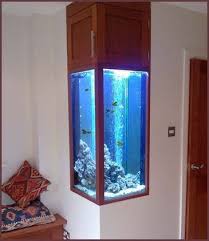 37100 With Images Wall Aquarium Fish Tank Wall Aquarium Design