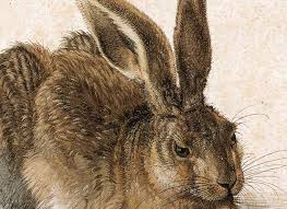 Browse & discover thousands of arts & photography book titles, for less. History Of Pretty Albrecht Durer The Reason I Studied Art History In The First Place Katy Kelleher