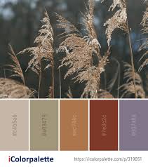 2024 Winter Color Palette Ideas In 2022 Icolorpalette