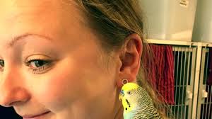 - UGENS PATIENT: MOGENS