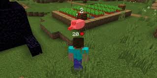 Pocket edition 1.17.0.56 mod apk (immortality unlimited/ no damage) if we are to tell you the story of this game briefly, we must say that you find yourself in an almost infinite world and you have to use the resources and tools that the game provides to build a shelter, pay for other buildings and structures. Damage Indicators Addon For Minecraft Pe 1 16 200