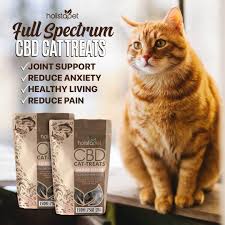 Cbd oil for cats seizures treatment is another popular use of this product. Best Cbd Cat Treats Voted 1 By La Weekly Vet Approved Cbd