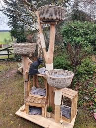 Weitere Verkaufte Baume Naturholzbaume Fur Katzen In 2020 Selbstgebauter Kratzbaum Kratzbaum Katze Kratzbaum Selber Bauen
