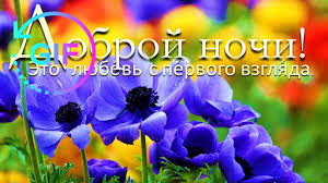 We did not find results for: Good Night Gif With The Best Russian Wishes App Store Data Revenue Download Estimates On Play Store