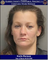 Mark Herman, Harris County Constable Precinct 4