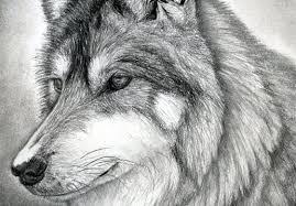 Drawing instruments include graphite pencils, pen and ink, various kinds of paints, inked brushes, colored pencils, crayons, charcoal, chalk, pastels, erasers, markers, styluses, and metals (such as silverpoint). How To Draw Animals Step By Step Trending Difficulty Any Dragoart Com