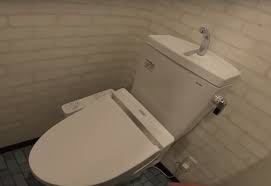 đọc Bao Gium Bạn Chọn Chậu Rửa Mặt Toto Phu Hợp Docbaogiumban Chậu Rửa Chậu Rua