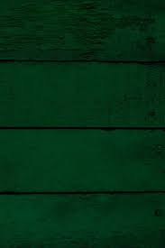 Pin By Chloe Hensley On Green Aesthetic For Wall In 2021 Dark Green Aesthetic Dark Green Background Green Aesthetic