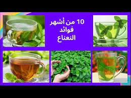 pin by aymansaed on أعشاب طبيعية 10 things