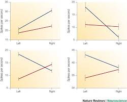 Very knowledgeable and experienced team of health care providers. The Prefontral Cortex And Cognitive Control Nature Reviews Neuroscience