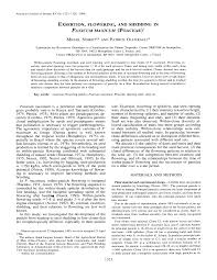 Image result for Panicum trichocladum