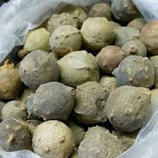 Airgalon #airminum #airmineral kamu pilih minum air galon atau air rebusan? Original Buah Manjakani Asli