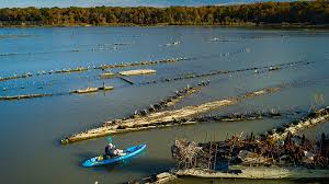 A ghost ship fleet, described as the largest group of mallows bay shipwreck graveyard, nature reclaims us battleship graveyard mallows bay, on the. Mallows Bay Potomac River National Marine Sanctuaries