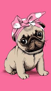 Asi Me Pongo Cuando Te Veo Fondos De Pantalla Perritos Arte Pug Pug