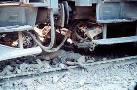 Strage di bologna, 85 morti 40 anni fa: Fototeca Della Strage Della Stazione Di Bologna